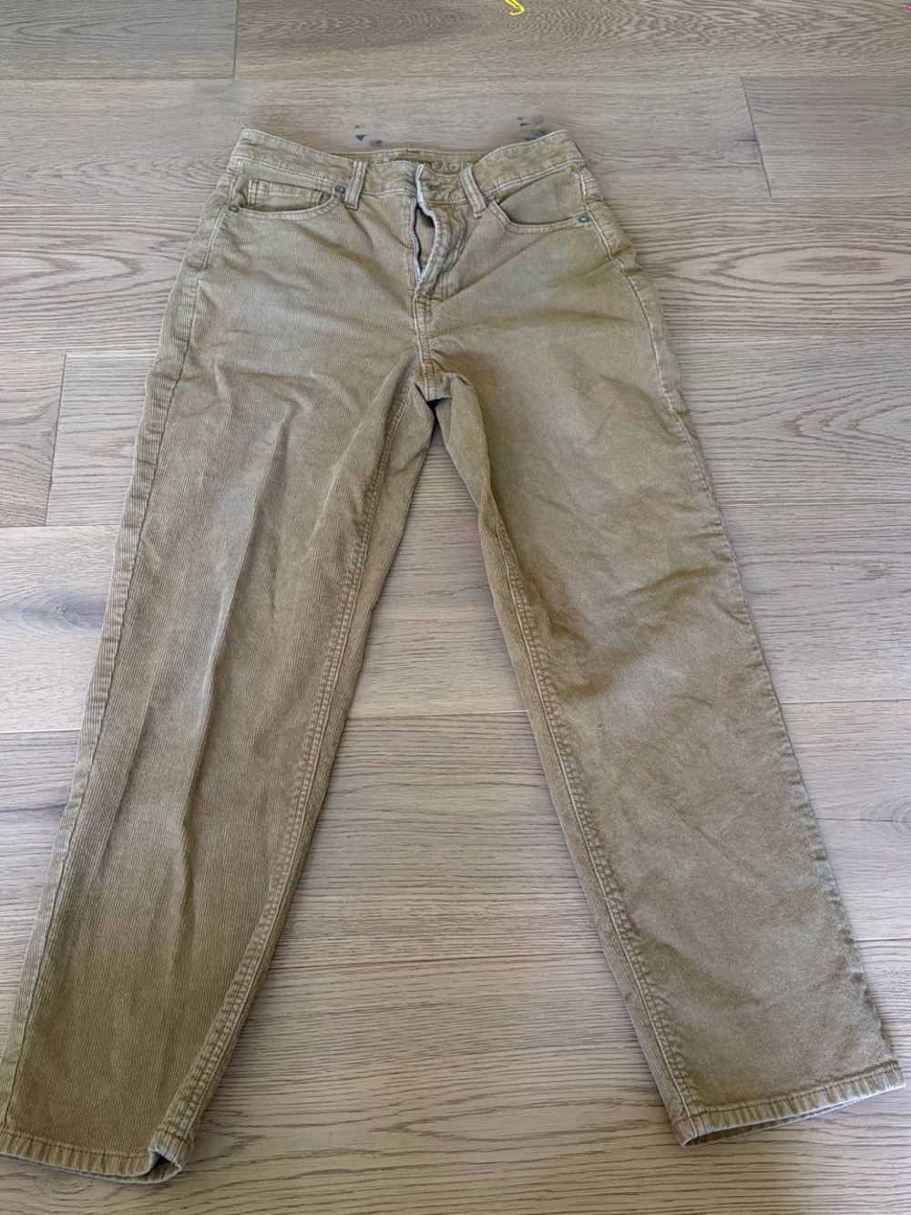 American Eagle Outfitters Short Corduroy Pants in Light Tan